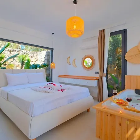 Lemonya Villa