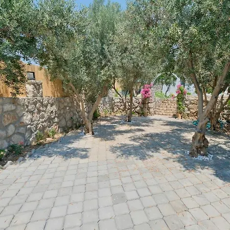 Villa Lemonya *